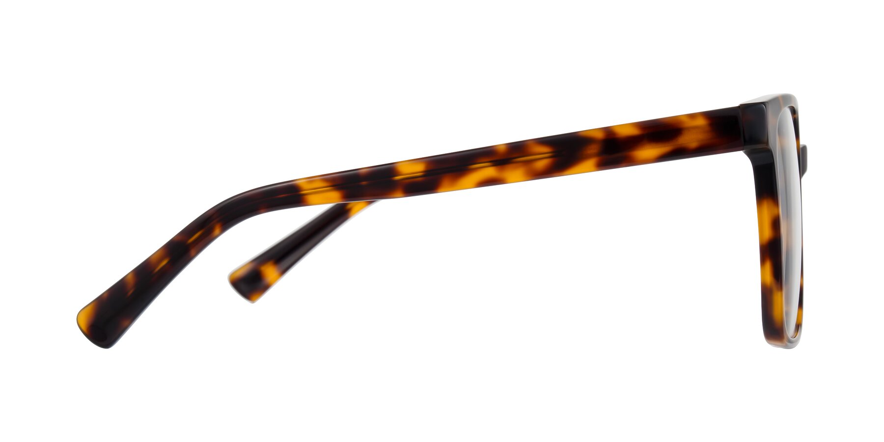 Side of Donegal in Tortoise with Clear Eyeglass Lenses