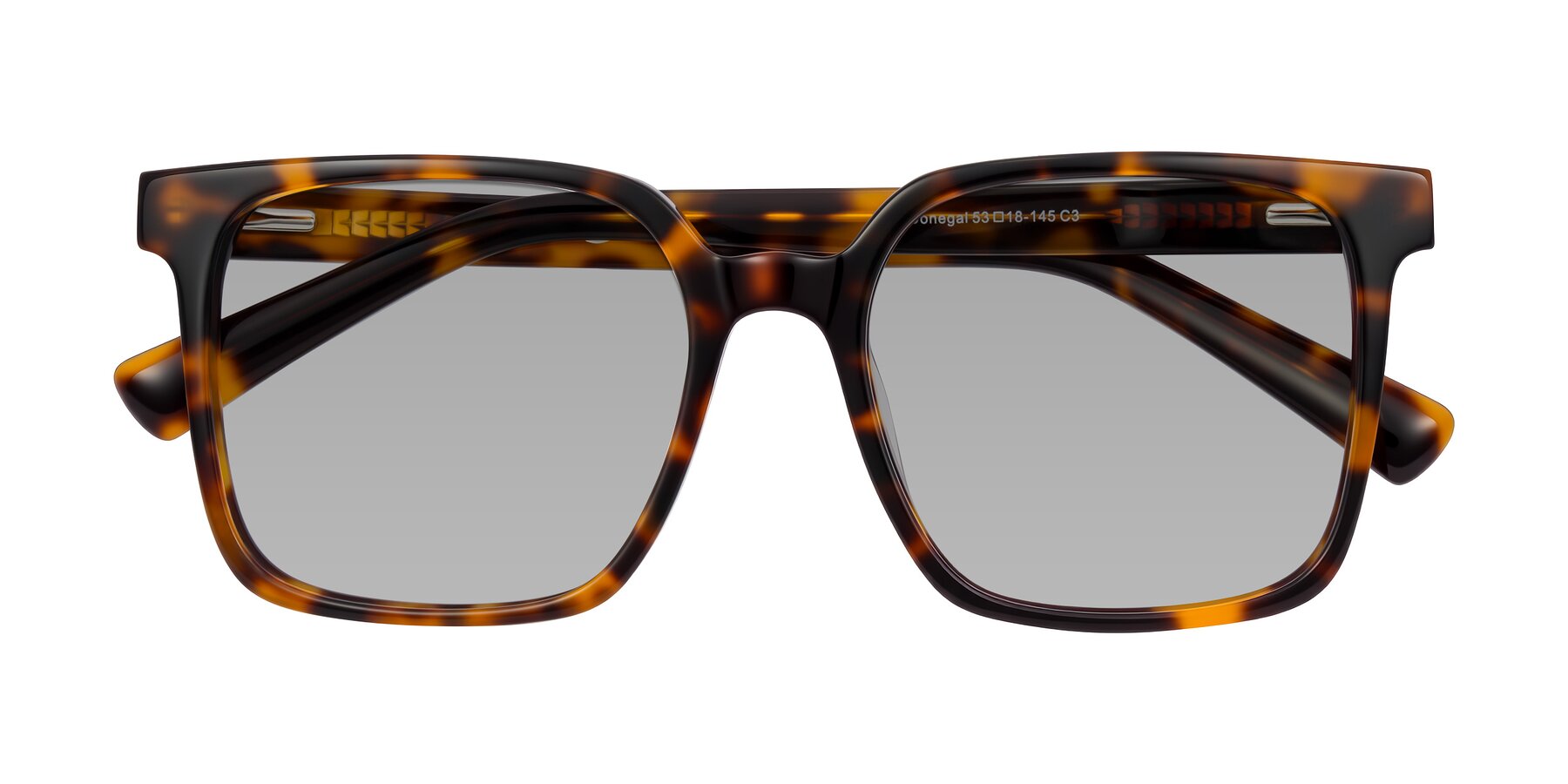 Folded Front of Donegal in Tortoise with Light Gray Tinted Lenses
