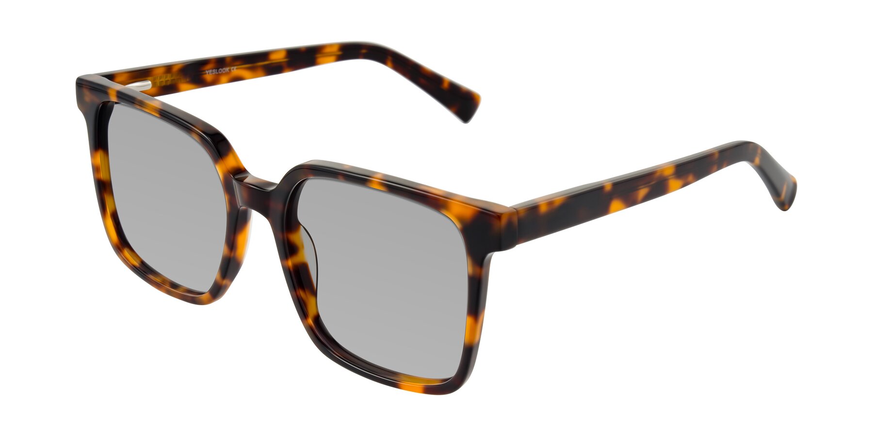 Angle of Donegal in Tortoise with Light Gray Tinted Lenses