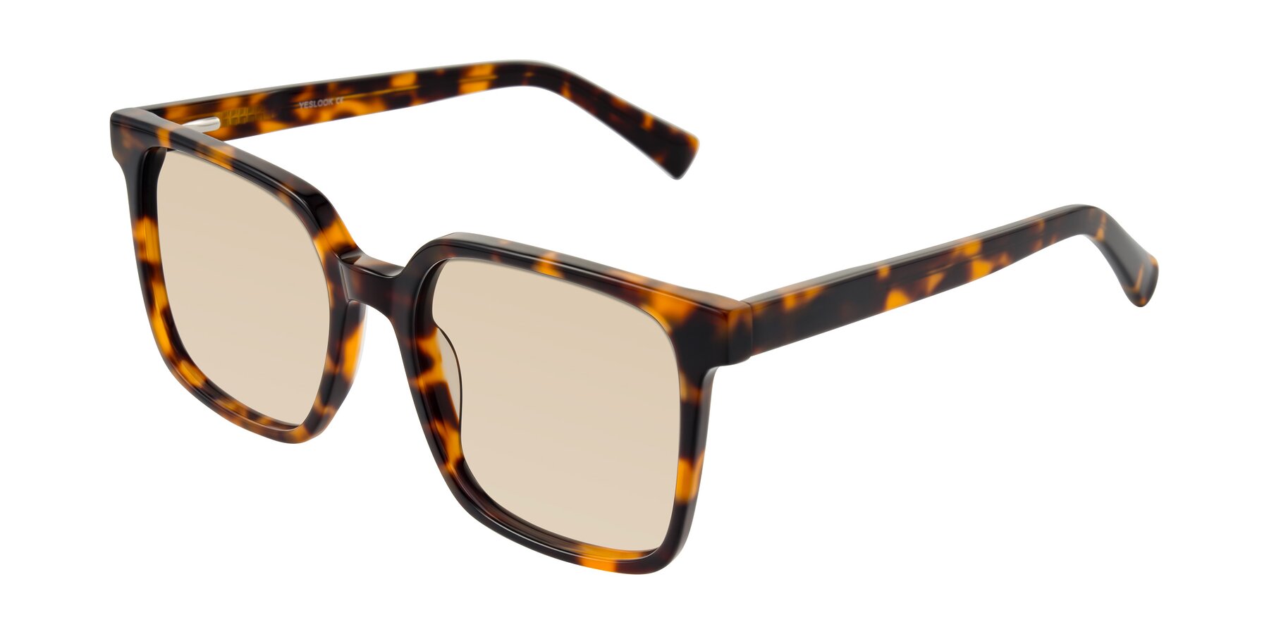 Angle of Donegal in Tortoise with Light Brown Tinted Lenses