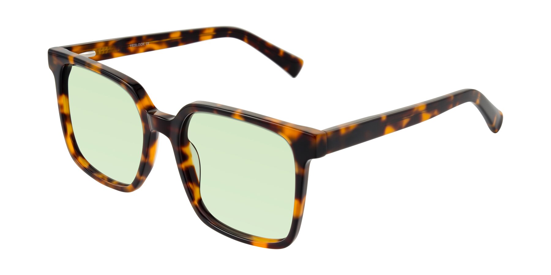 Angle of Donegal in Tortoise with Light Green Tinted Lenses