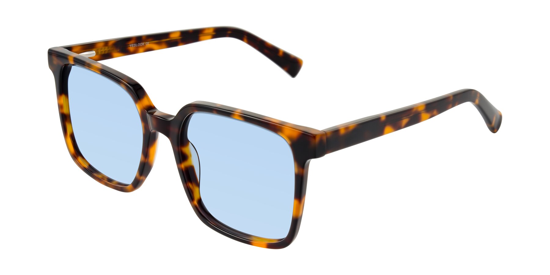 Angle of Donegal in Tortoise with Light Blue Tinted Lenses