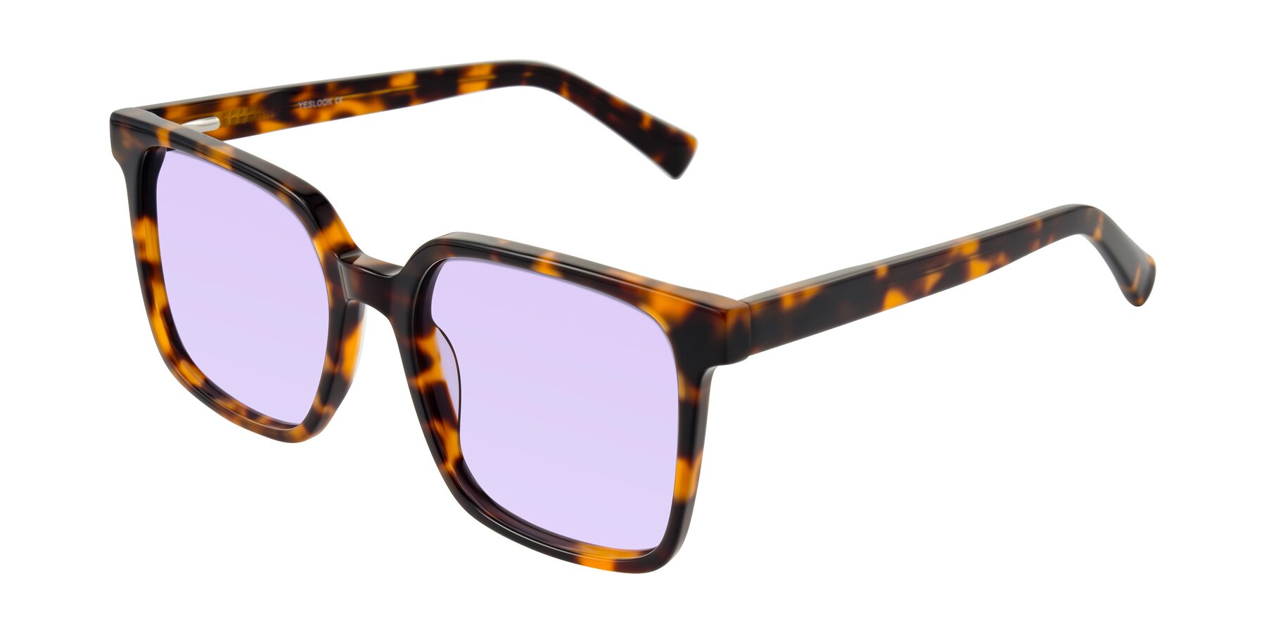 Angle of Donegal in Tortoise with Light Purple Tinted Lenses