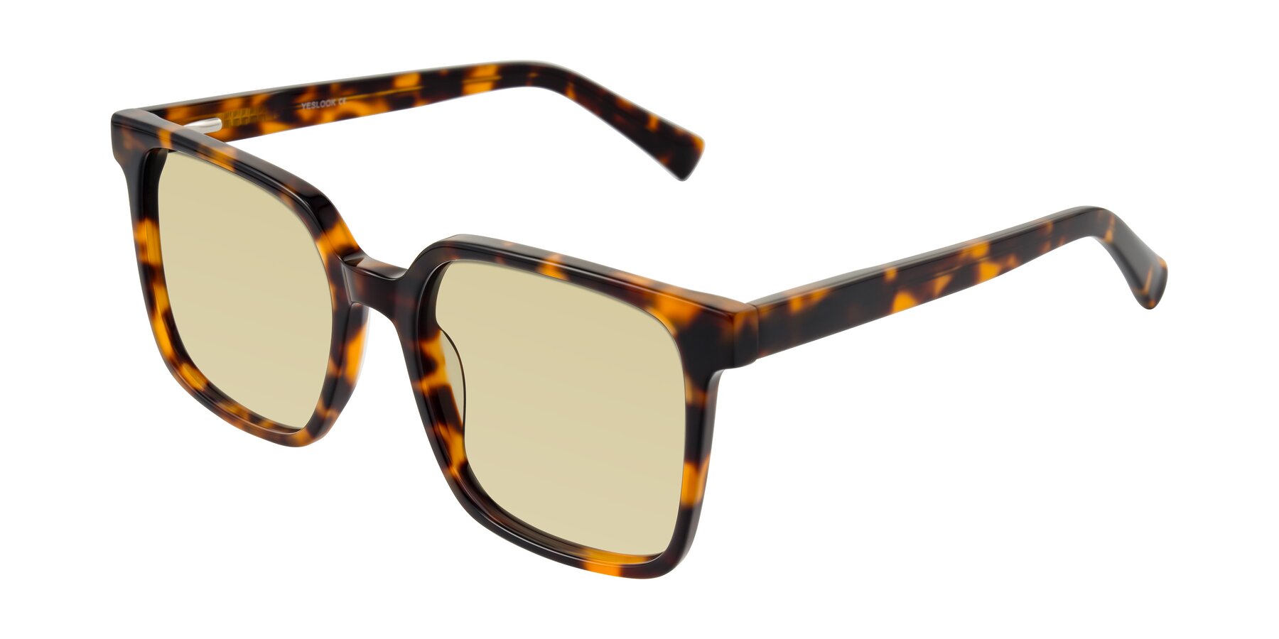 Angle of Donegal in Tortoise with Light Champagne Tinted Lenses