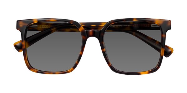 Front of Donegal in Tortoise
