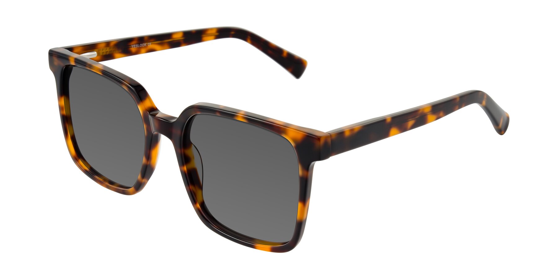 Angle of Donegal in Tortoise with Medium Gray Tinted Lenses