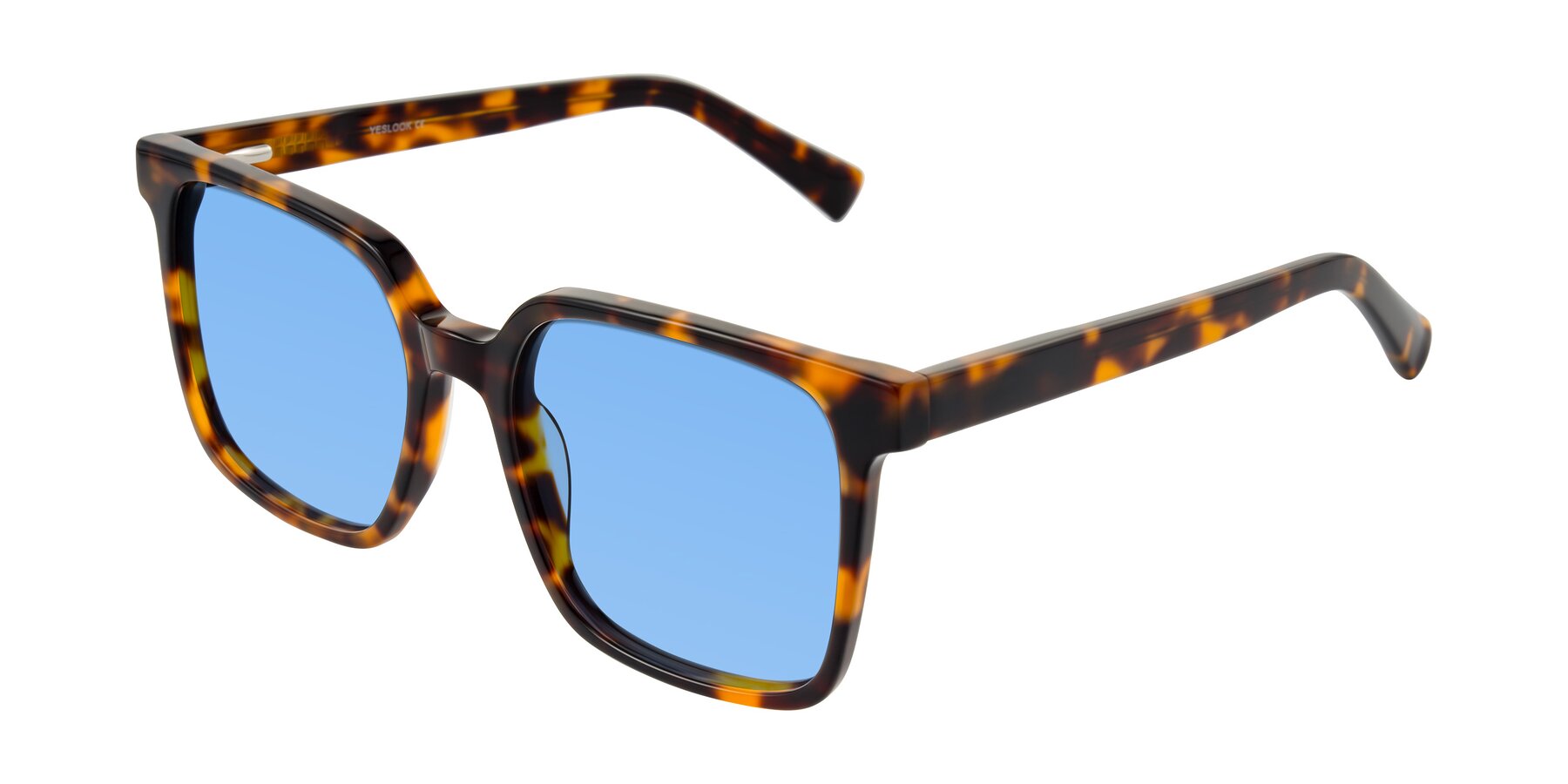 Angle of Donegal in Tortoise with Medium Blue Tinted Lenses