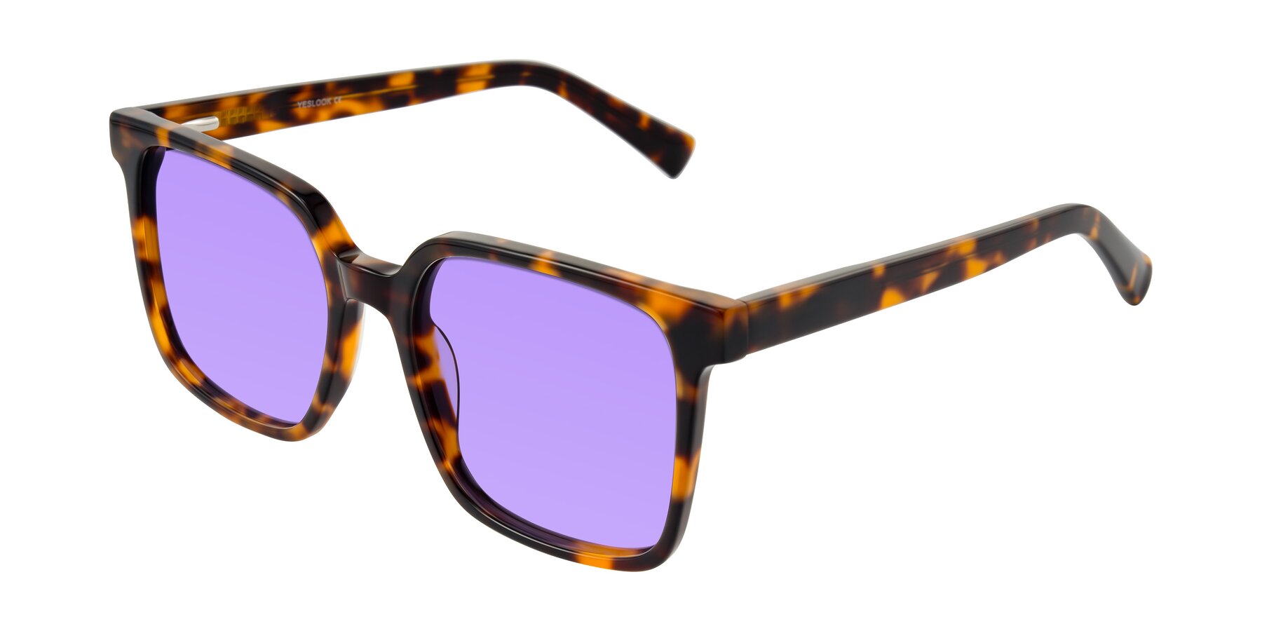 Angle of Donegal in Tortoise with Medium Purple Tinted Lenses