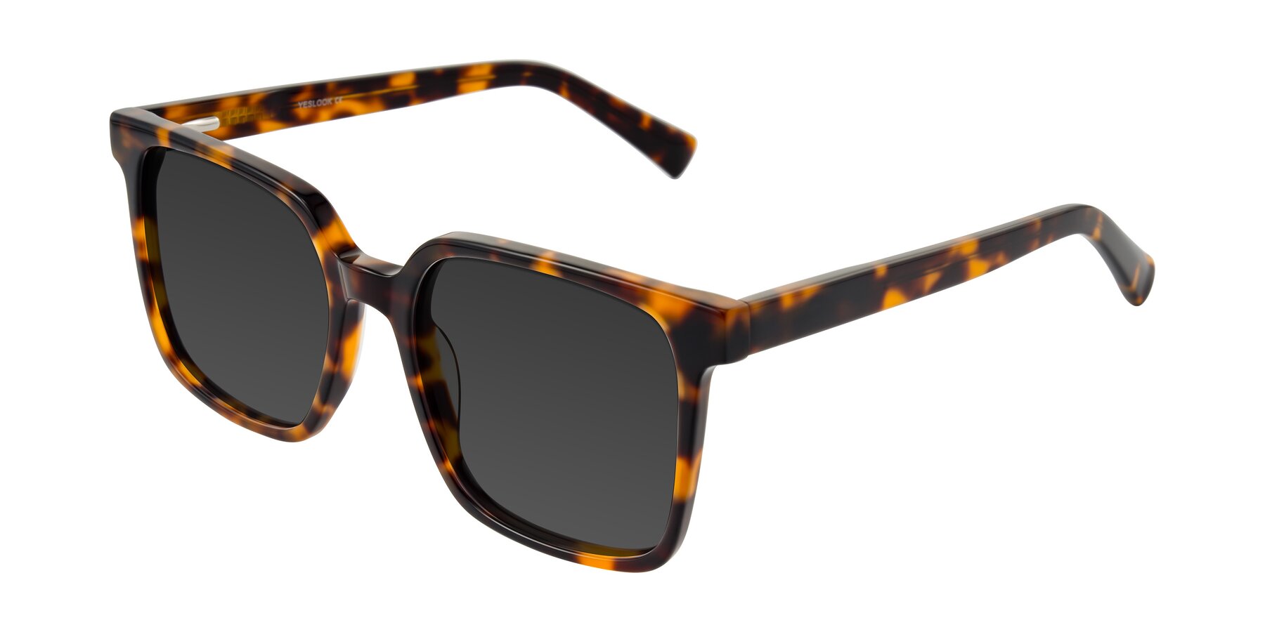 Angle of Donegal in Tortoise with Gray Tinted Lenses