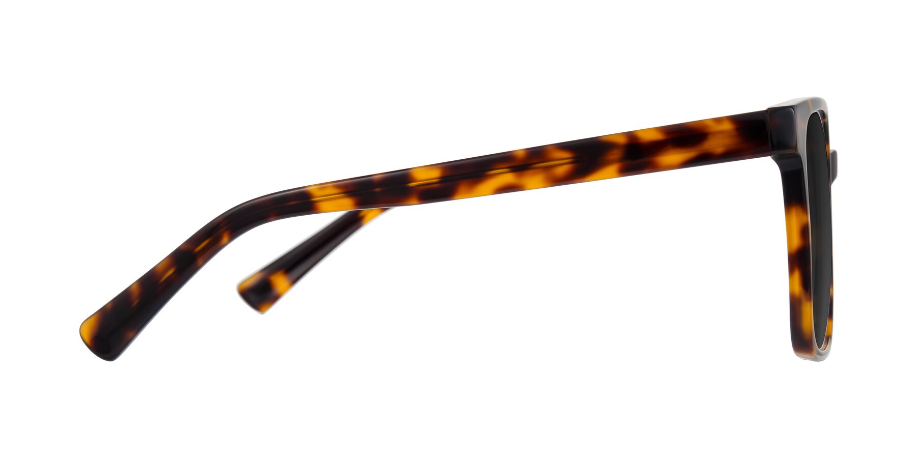 Side of Donegal in Tortoise with Gray Tinted Lenses