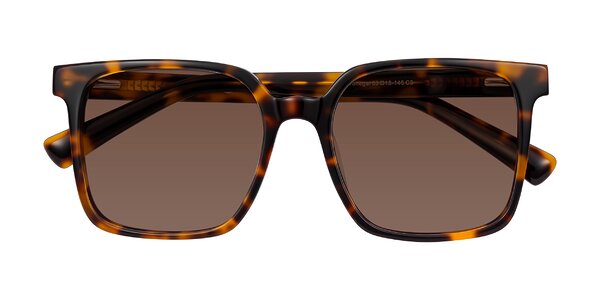 Front of Donegal in Tortoise