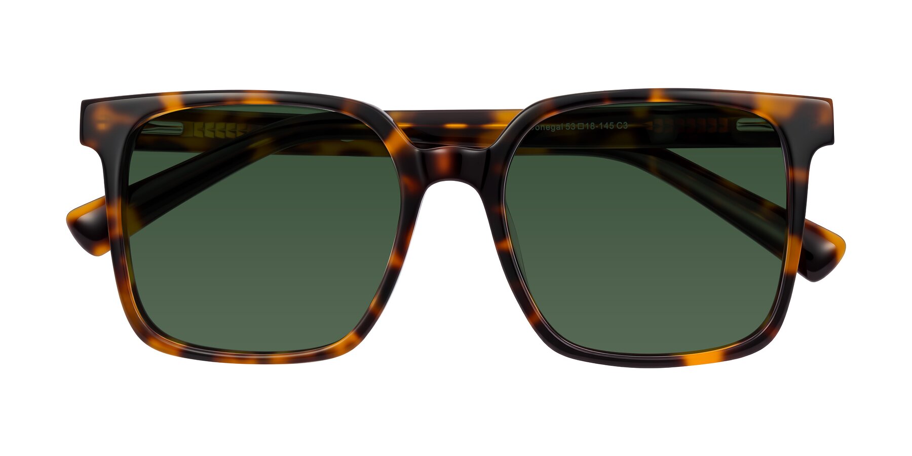 Folded Front of Donegal in Tortoise with Green Tinted Lenses