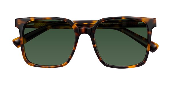 Front of Donegal in Tortoise