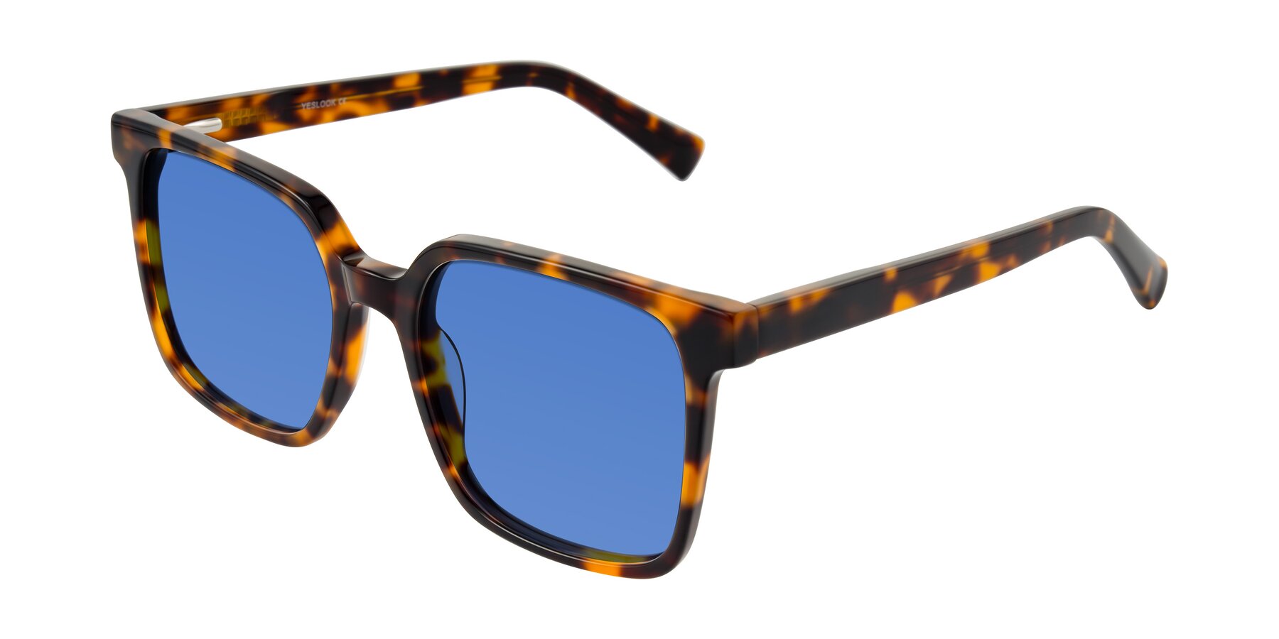 Angle of Donegal in Tortoise with Blue Tinted Lenses