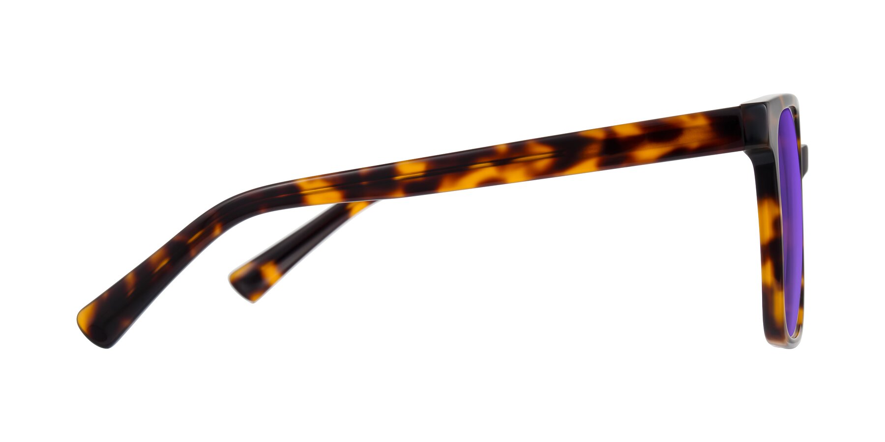 Side of Donegal in Tortoise with Purple Tinted Lenses
