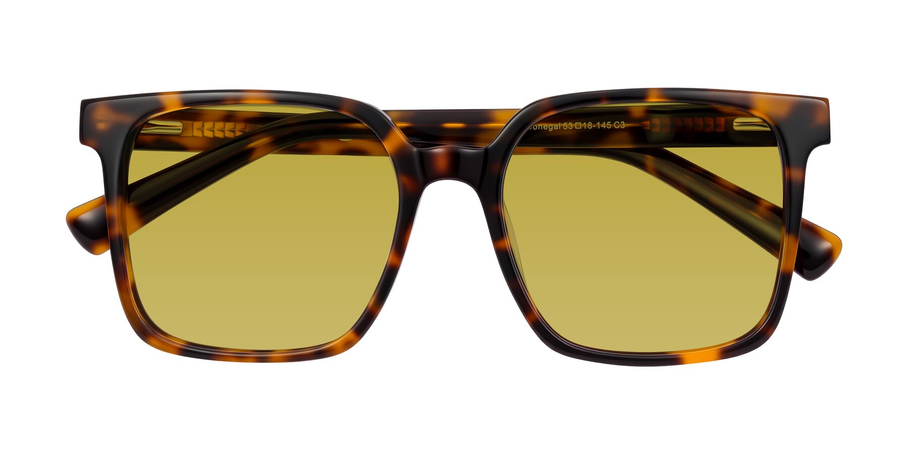 Folded Front of Donegal in Tortoise with Champagne Tinted Lenses