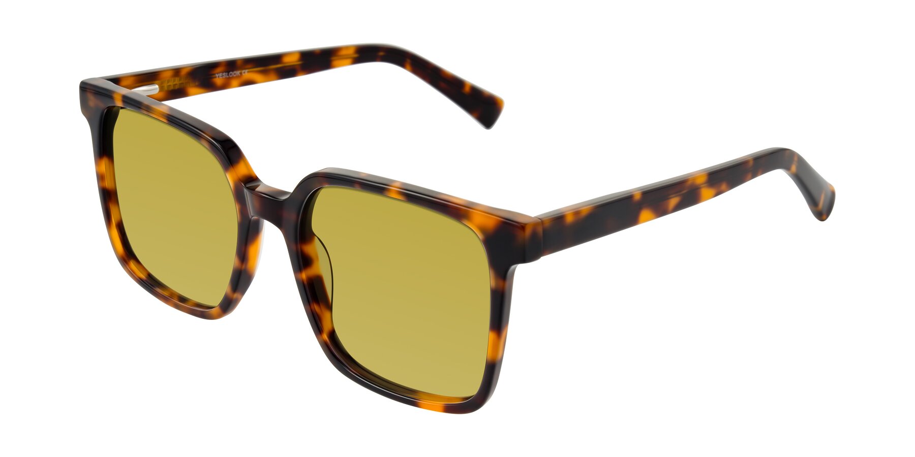 Angle of Donegal in Tortoise with Champagne Tinted Lenses