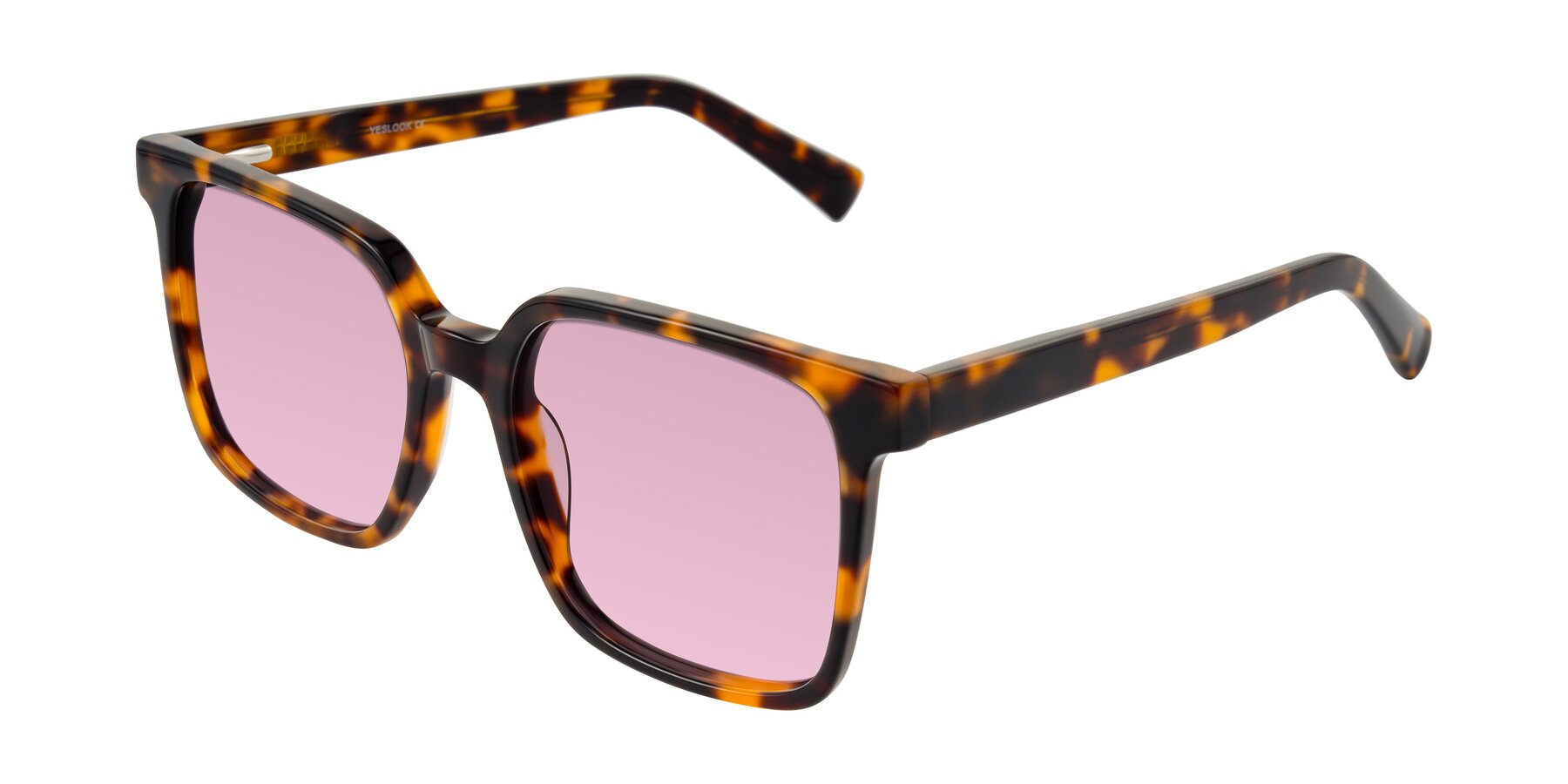 Angle of Donegal in Tortoise with Light Wine Tinted Lenses