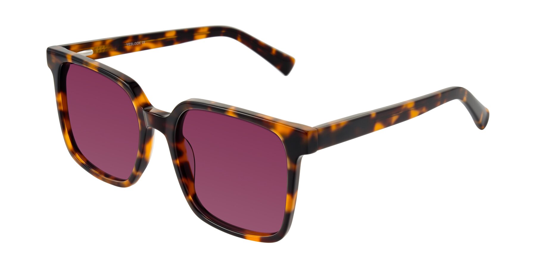 Angle of Donegal in Tortoise with Wine Tinted Lenses