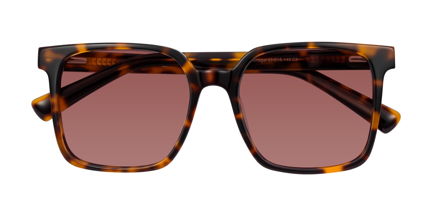 Folded Front of Donegal in Tortoise with Garnet Tinted Lenses