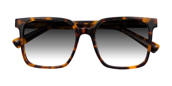 Front of Donegal in Tortoise