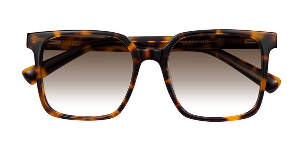 Front of Donegal in Tortoise