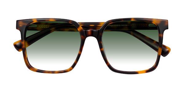 Front of Donegal in Tortoise