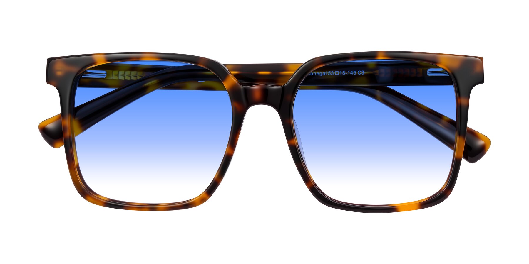 Folded Front of Donegal in Tortoise with Blue Gradient Lenses