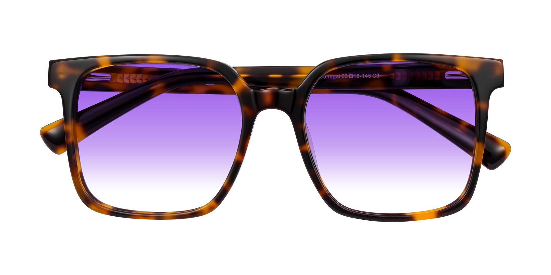 Folded Front of Donegal in Tortoise with Purple Gradient Lenses