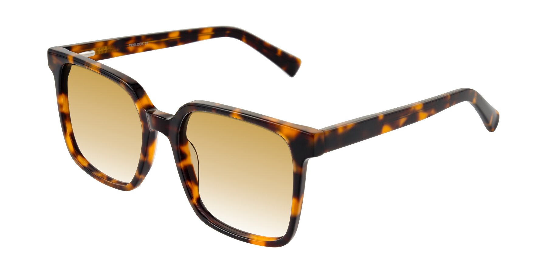 Angle of Donegal in Tortoise with Champagne Gradient Lenses