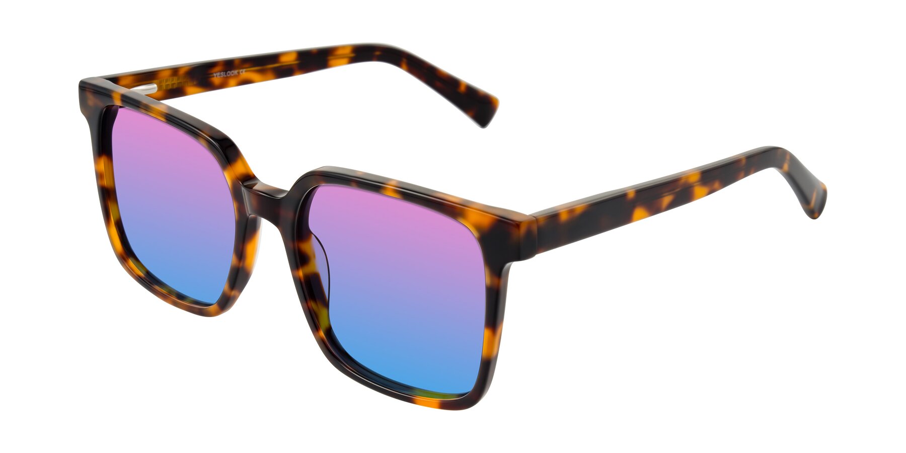 Angle of Donegal in Tortoise with Pink / Blue Gradient Lenses
