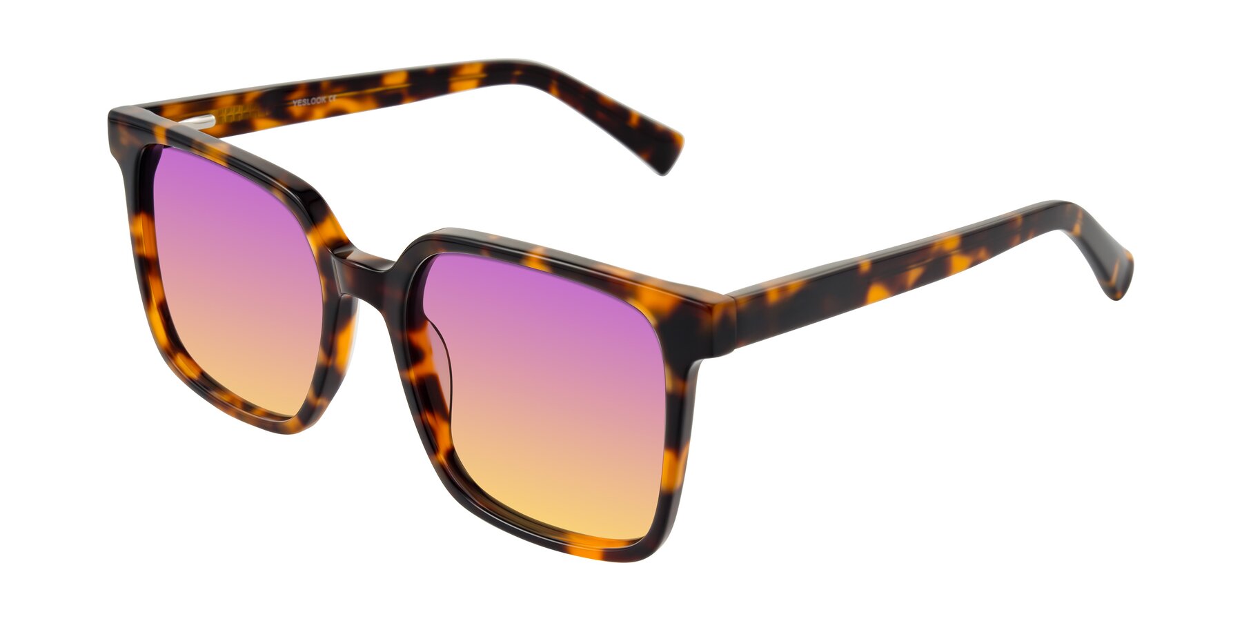 Angle of Donegal in Tortoise with Purple / Yellow Gradient Lenses