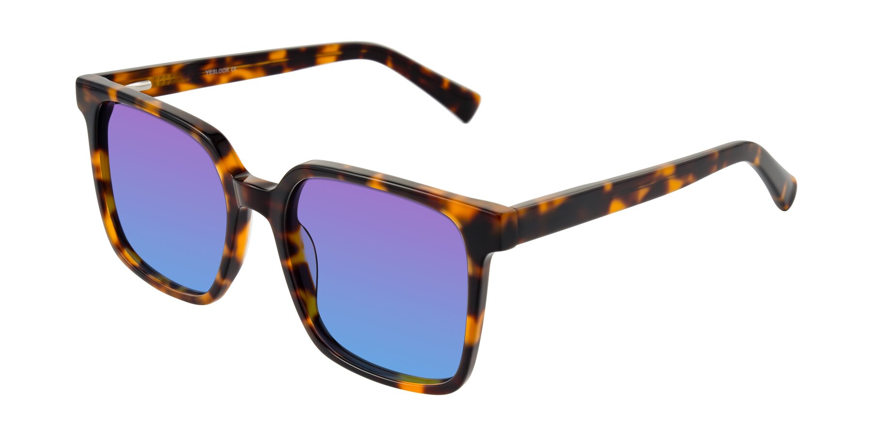 Angle of Donegal in Tortoise with Purple / Blue Gradient Lenses