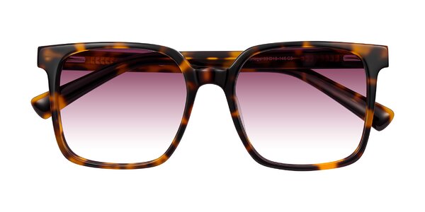 Front of Donegal in Tortoise