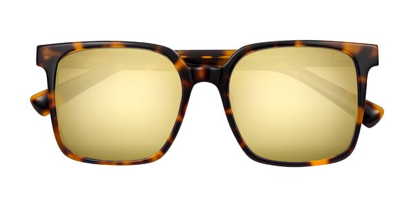 Front of Donegal in Tortoise