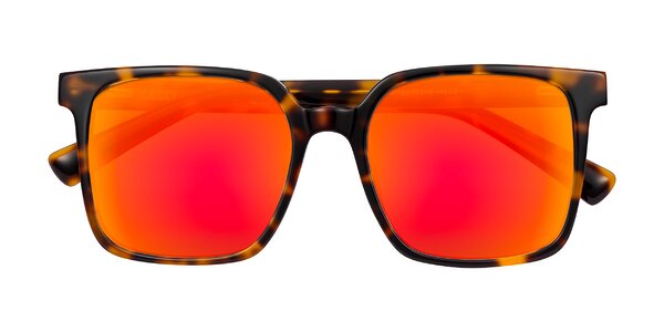Front of Donegal in Tortoise