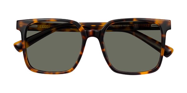 Front of Donegal in Tortoise