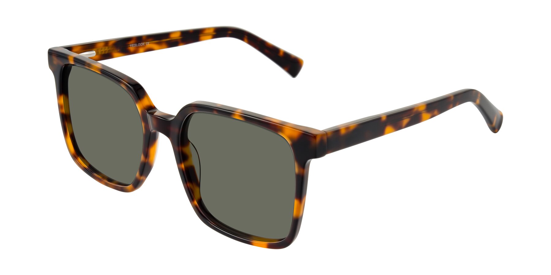 Angle of Donegal in Tortoise with Gray Polarized Lenses