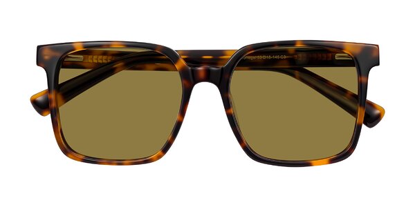 Front of Donegal in Tortoise