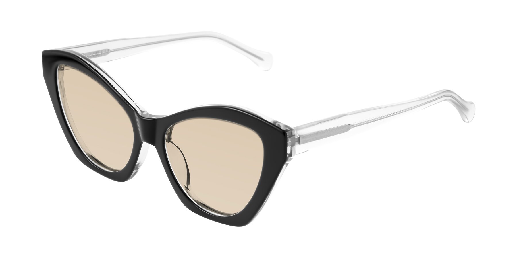 Angle of Limerick in Black/Clear with Light Brown Tinted Lenses