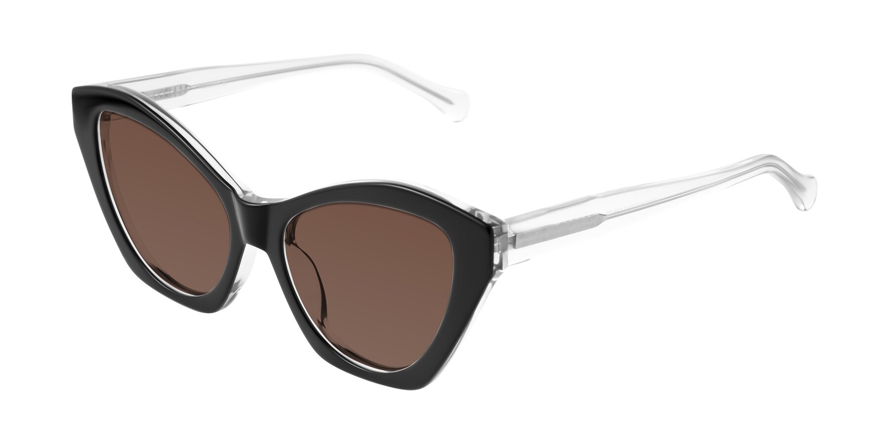 Angle of Limerick in Black/Clear with Brown Tinted Lenses