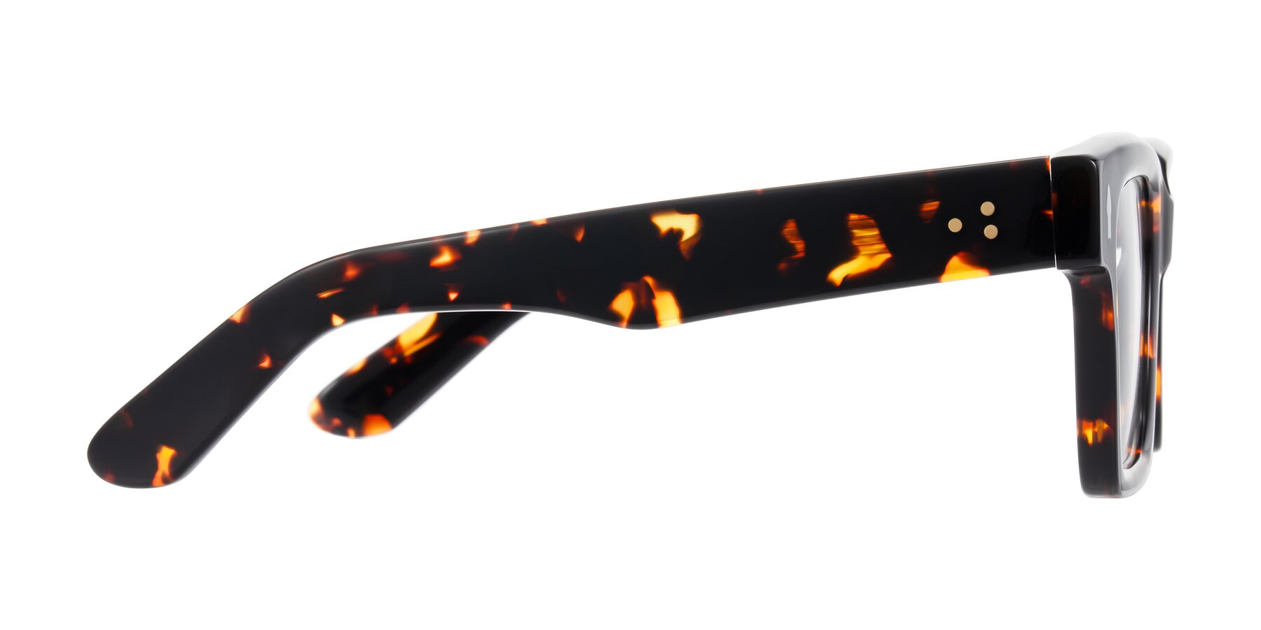 Side of Phamn in Tortoise with Clear Reading Eyeglass Lenses