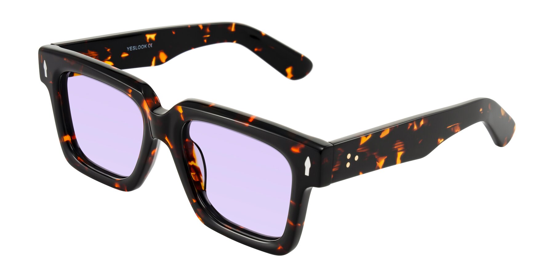 Angle of Phamn in Tortoise with Light Purple Tinted Lenses