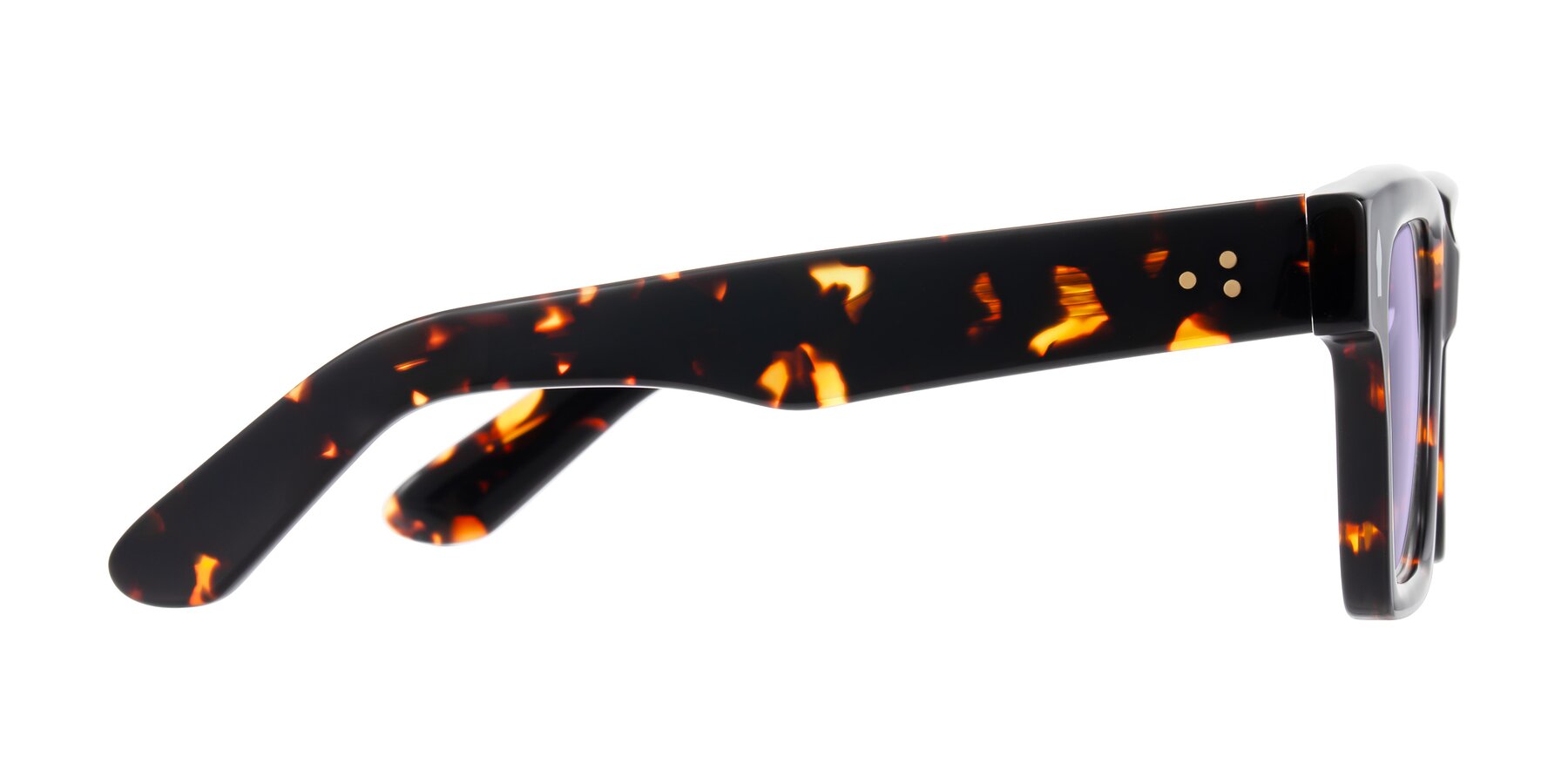 Side of Phamn in Tortoise with Light Purple Tinted Lenses