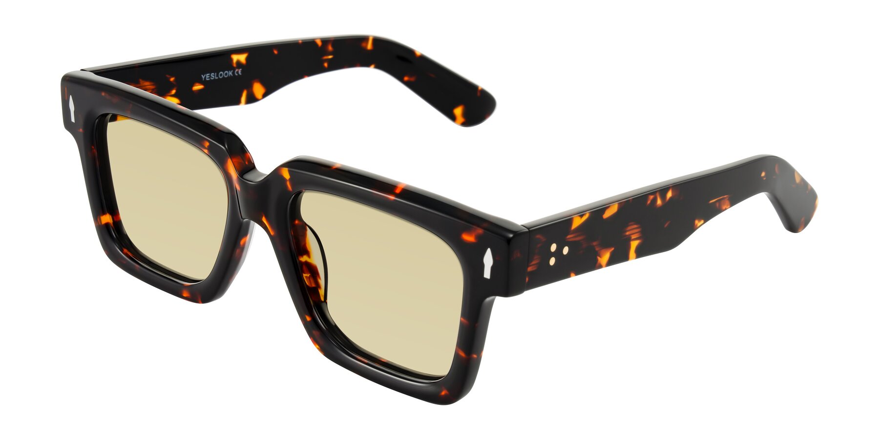 Angle of Phamn in Tortoise with Light Champagne Tinted Lenses