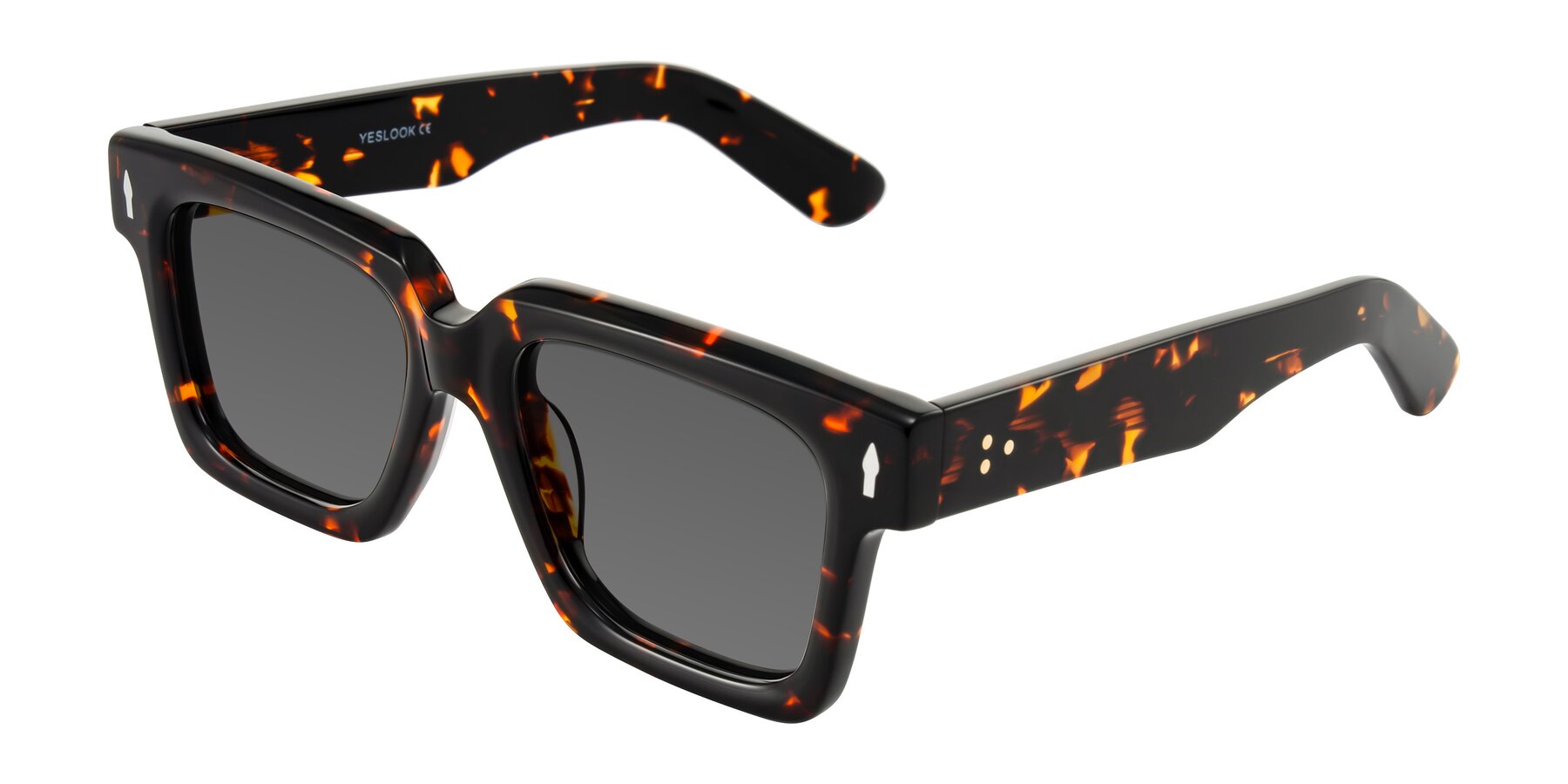 Angle of Phamn in Tortoise with Medium Gray Tinted Lenses