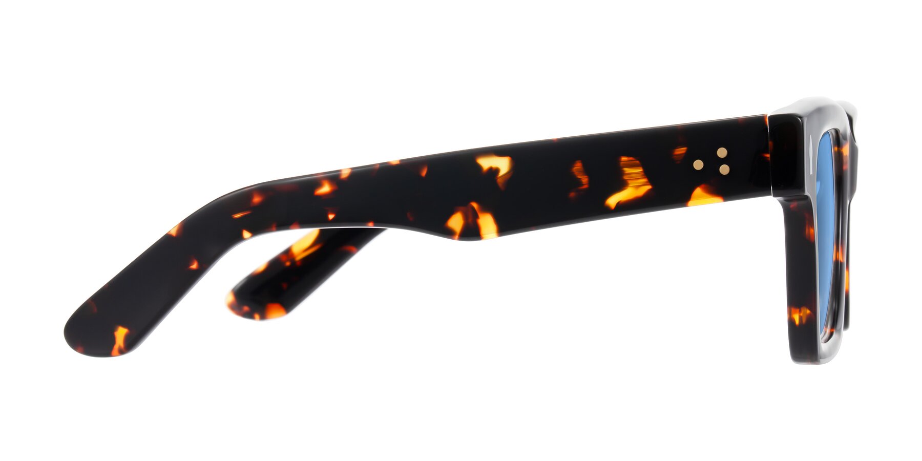 Side of Phamn in Tortoise with Medium Blue Tinted Lenses