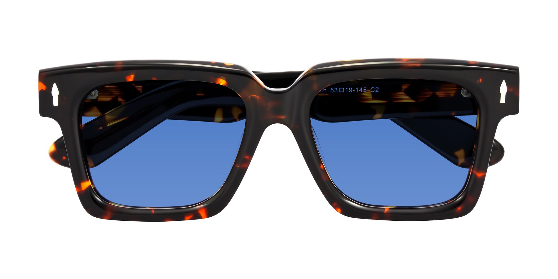 Folded Front of Phamn in Tortoise with Blue Tinted Lenses