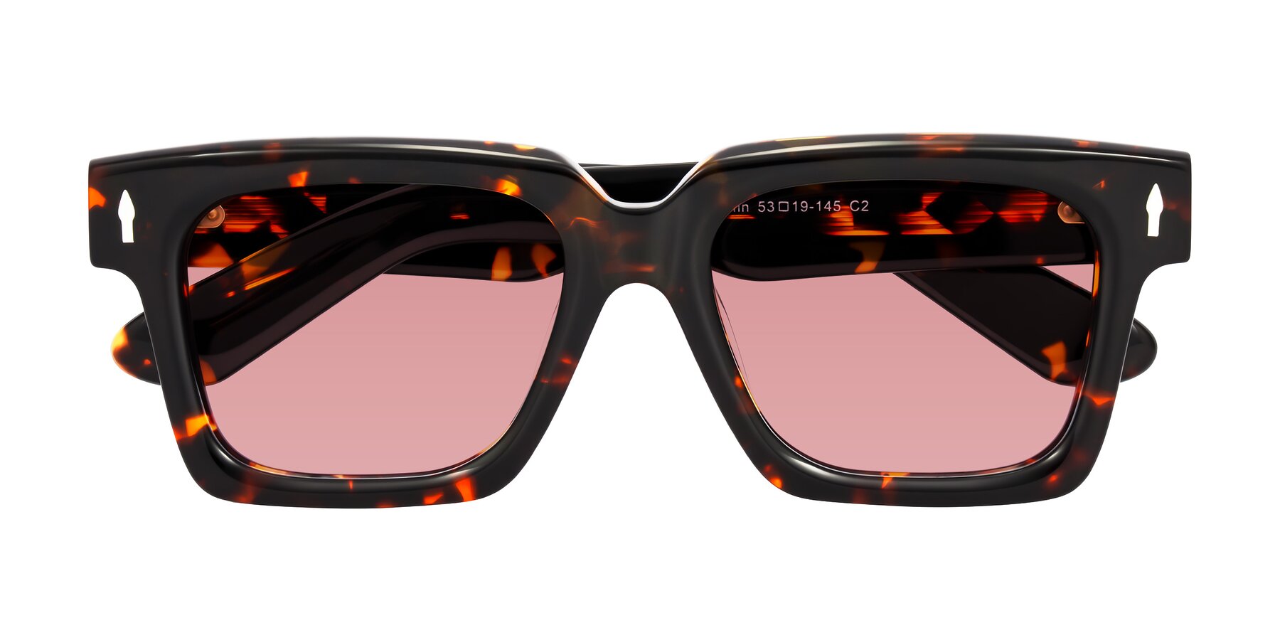 Folded Front of Phamn in Tortoise with Medium Garnet Tinted Lenses