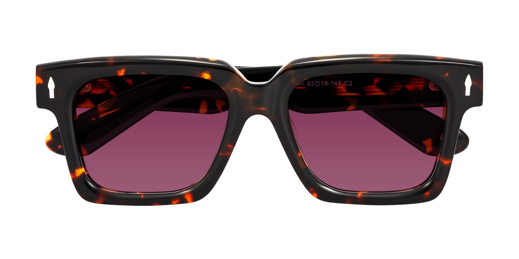 Folded Front of Phamn in Tortoise with Wine Tinted Lenses